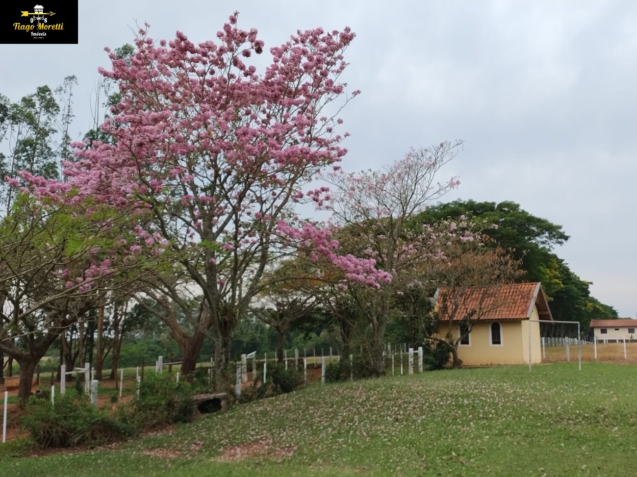 Fazenda, 3 quartos - Foto 26