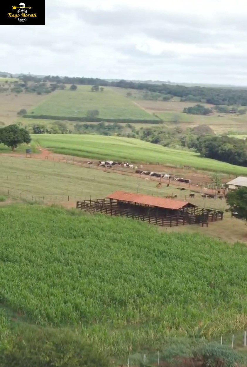 Fazenda, 3 quartos - Foto 5