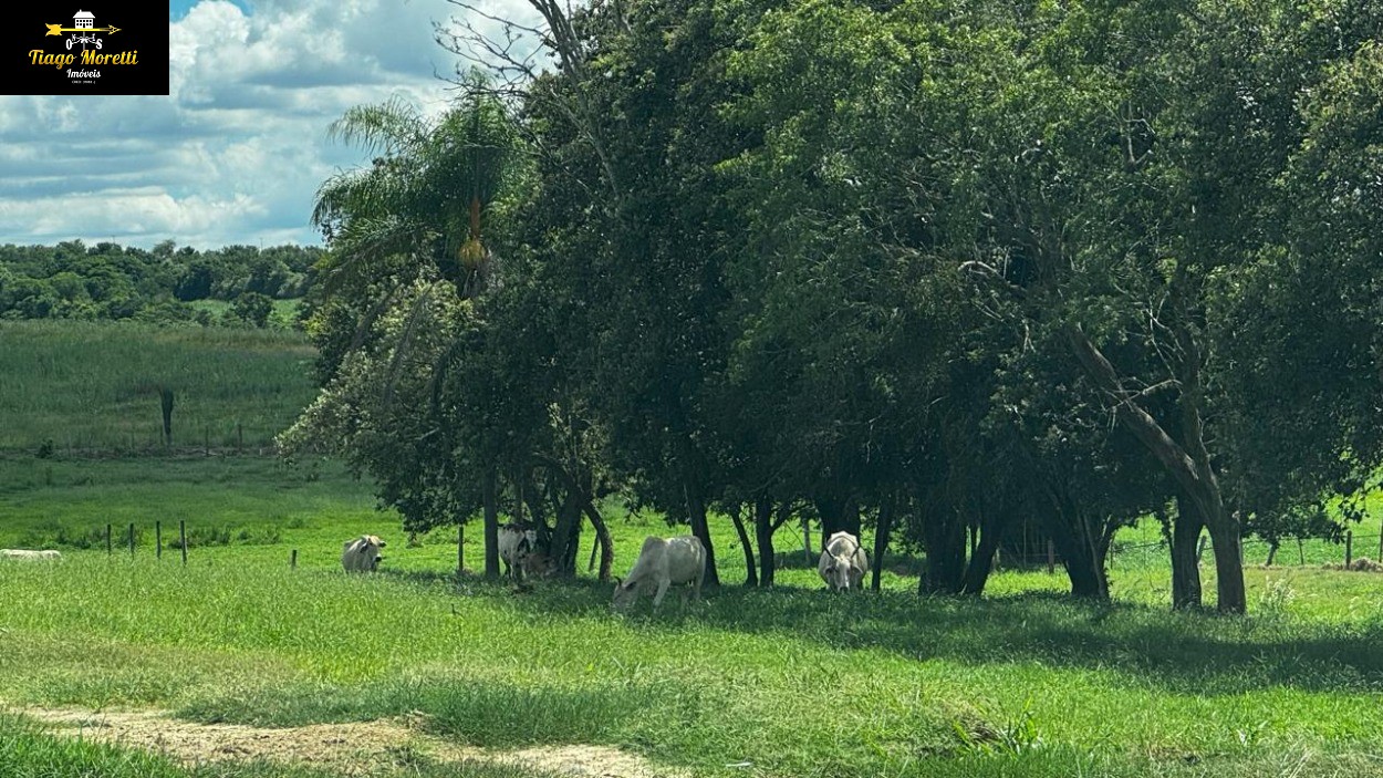Fazenda, 40 m² - Foto 1