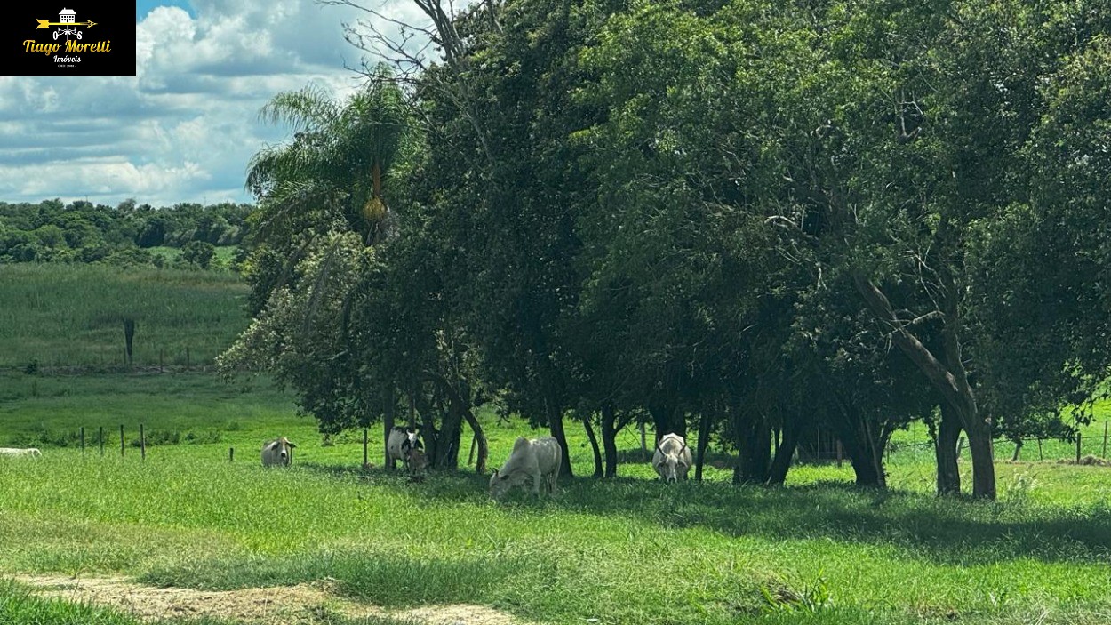 Fazenda, 40 m² - Foto 22