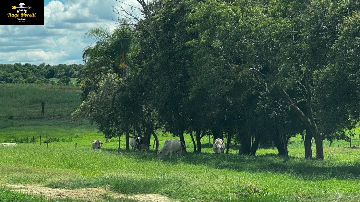 Fazenda, 40 m² - Foto 26
