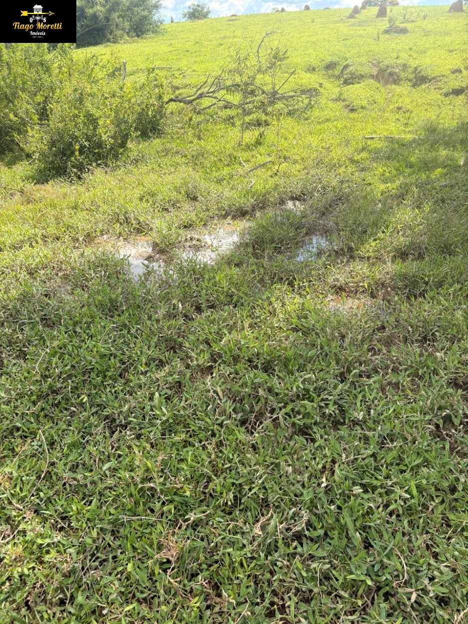 Sítio, 5 m² - Foto 18