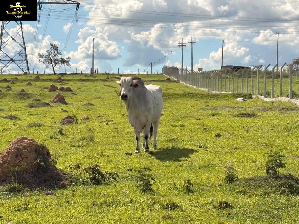 Sítio, 5 m² - Foto 6