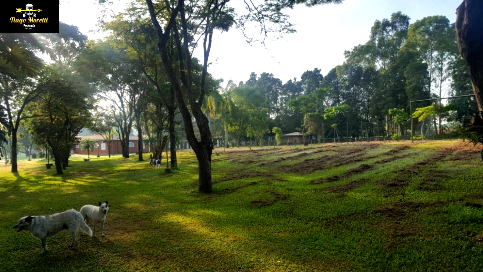 Sítio, 4 quartos, 48 hectares - Foto 20