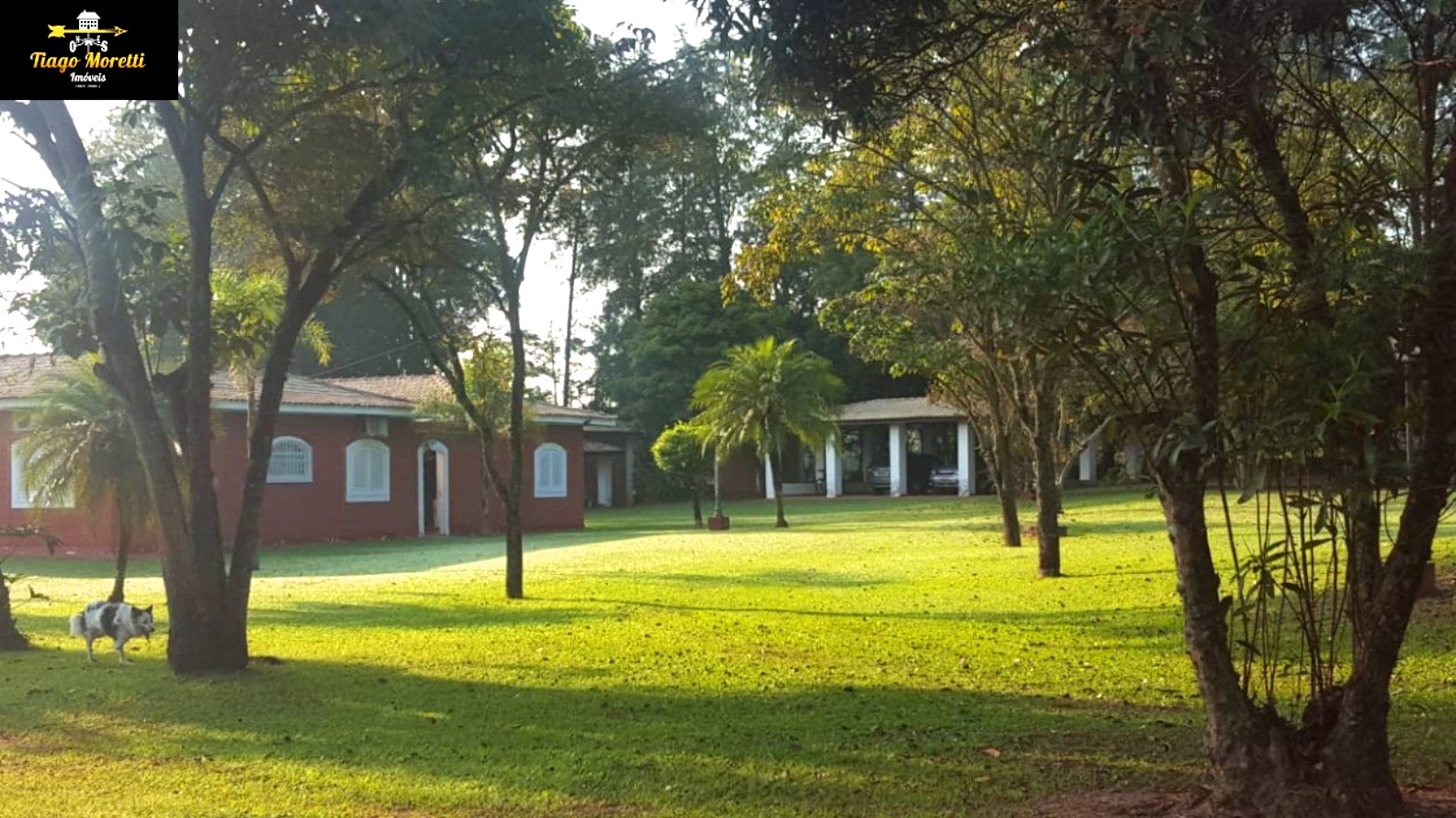 Sítio, 4 quartos, 48 hectares - Foto 11
