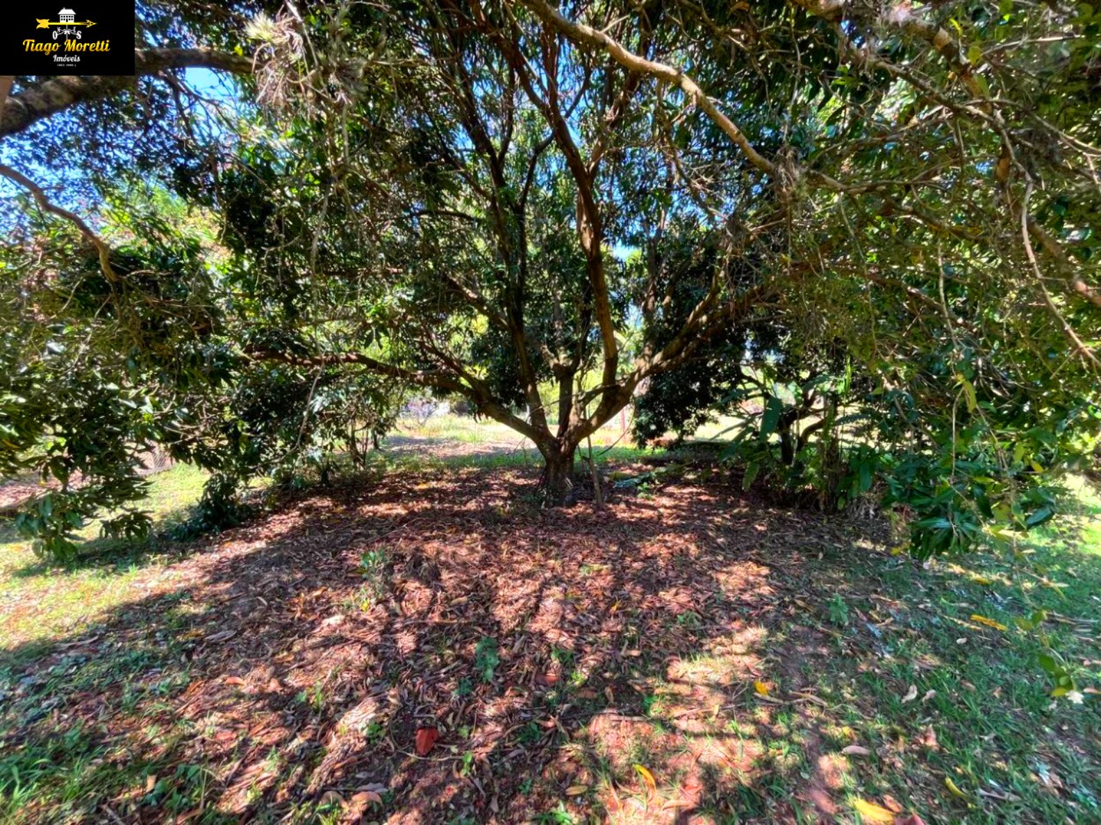 Chácara, 3 quartos, 259 m² - Foto 24