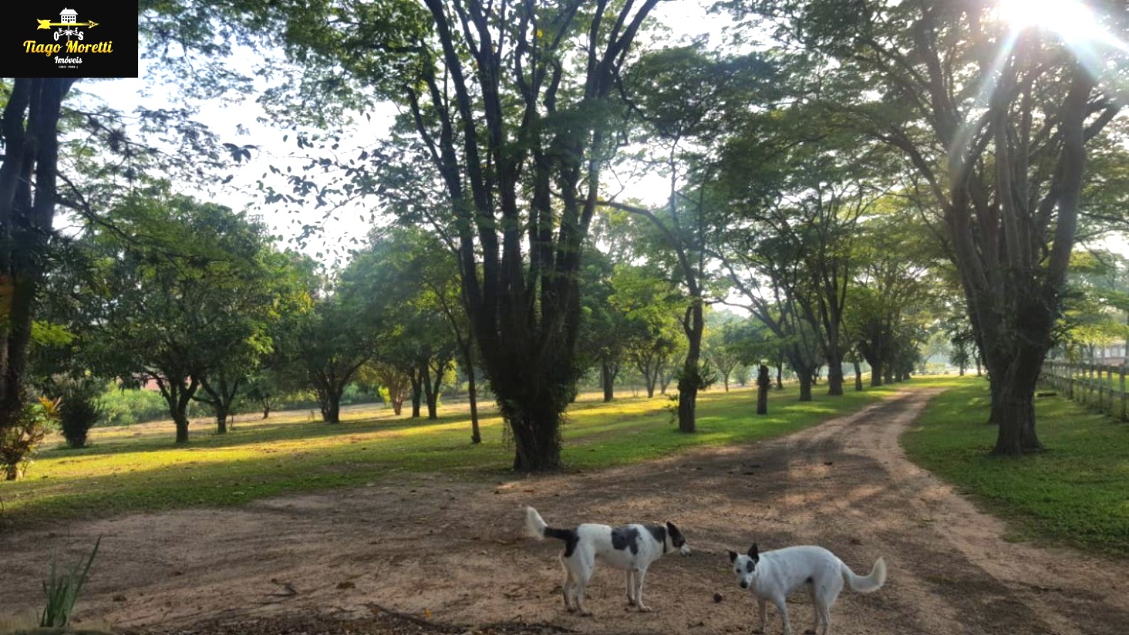 Sítio, 4 quartos, 48 hectares - Foto 4