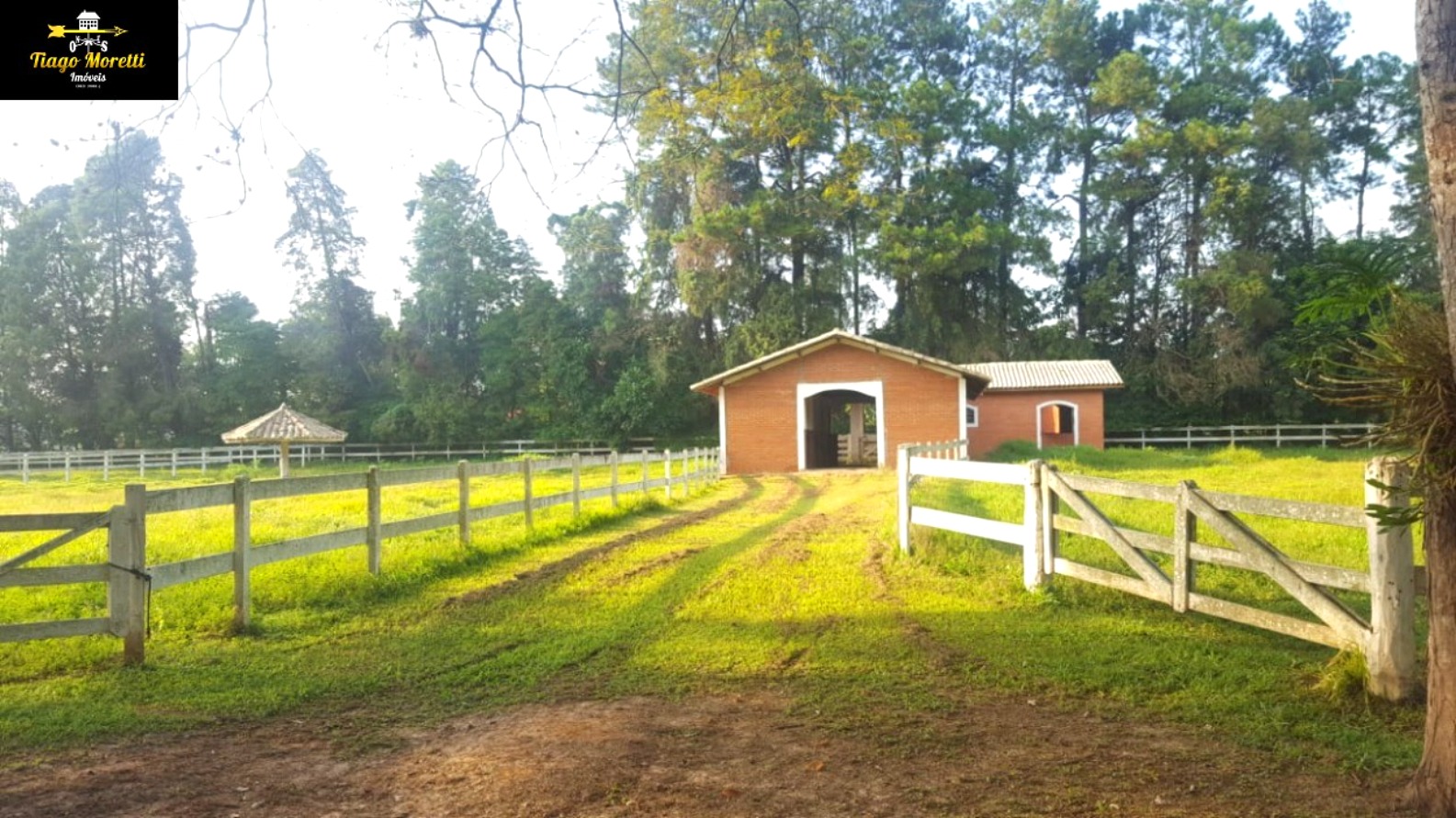Sítio, 4 quartos, 48 hectares - Foto 7