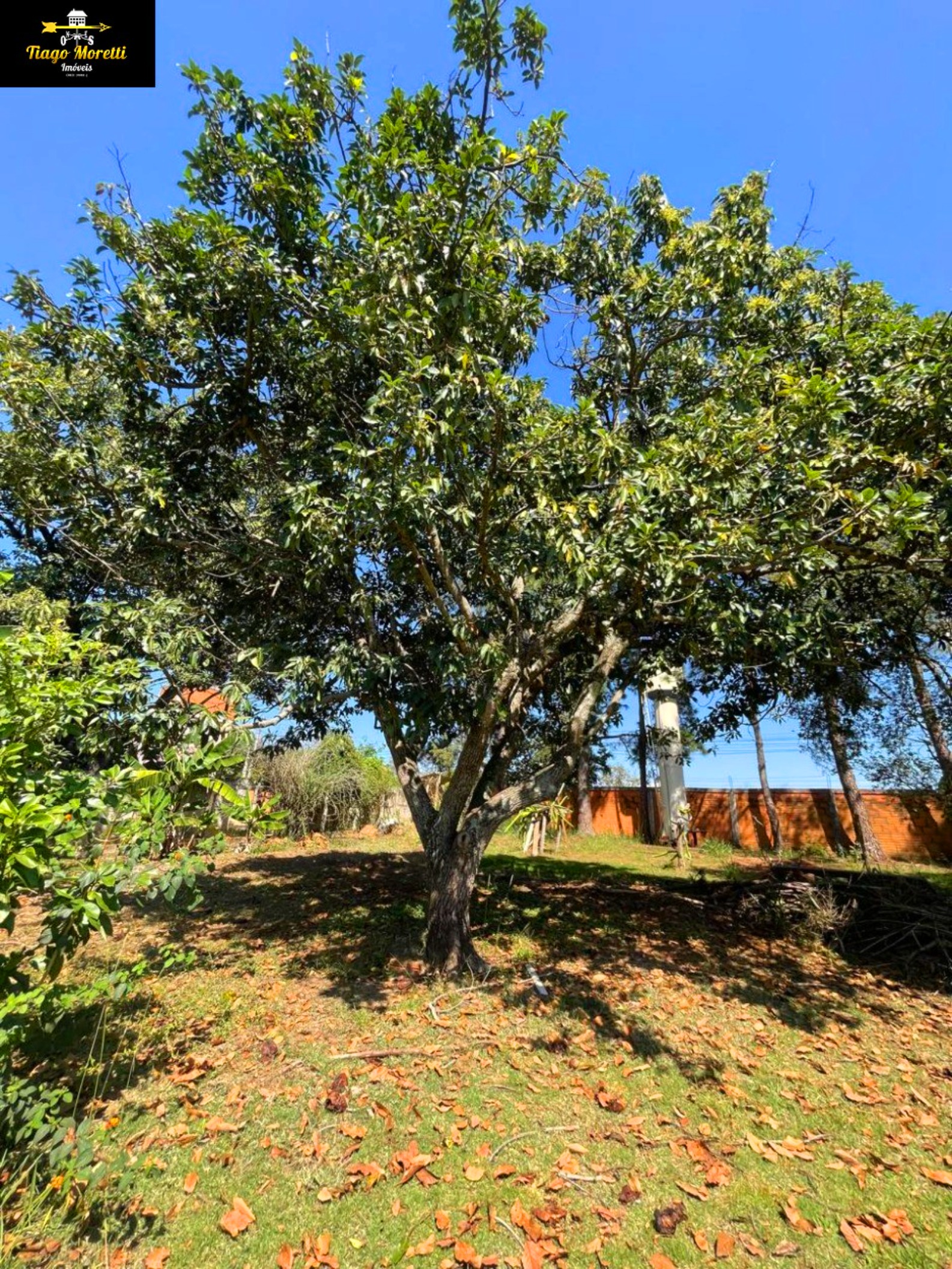 Chácara, 3 quartos, 259 m² - Foto 25