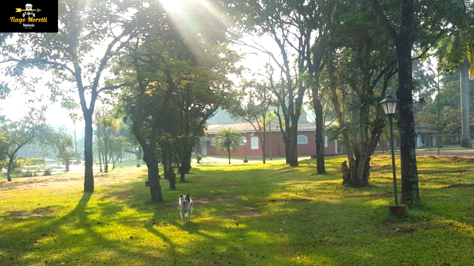 Sítio, 4 quartos, 48 hectares - Foto 9