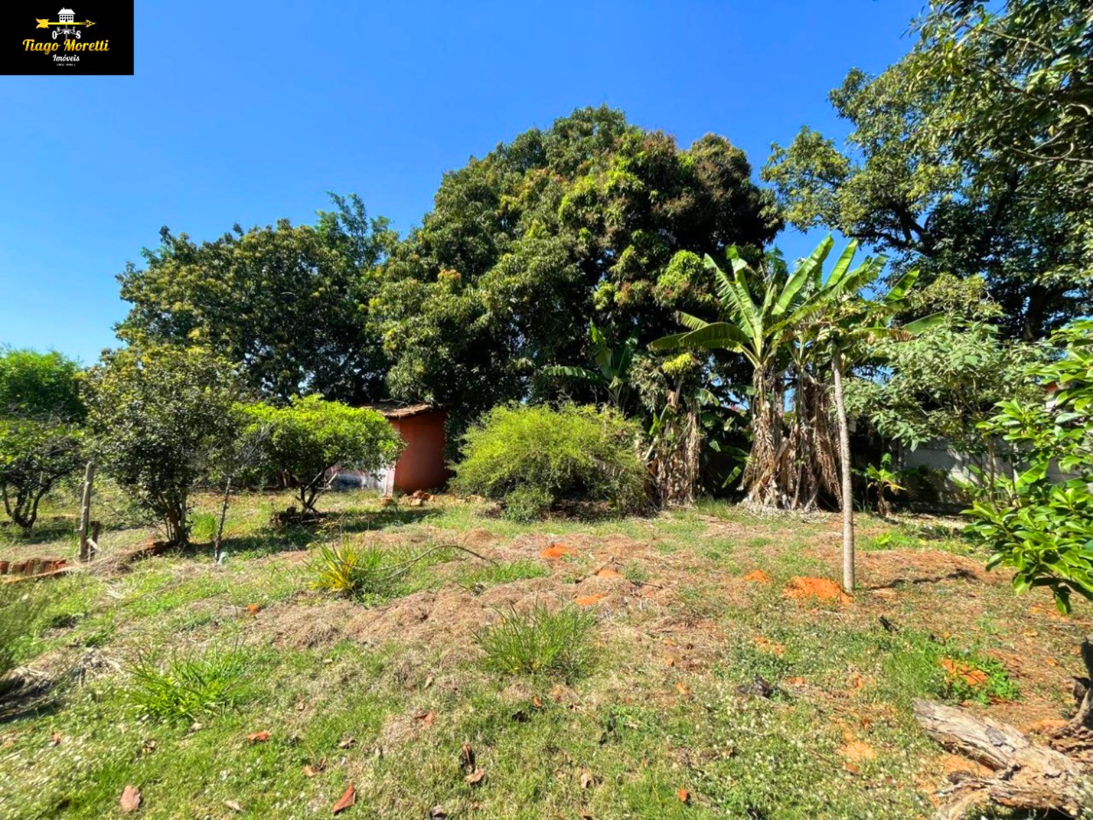 Chácara, 3 quartos, 259 m² - Foto 32