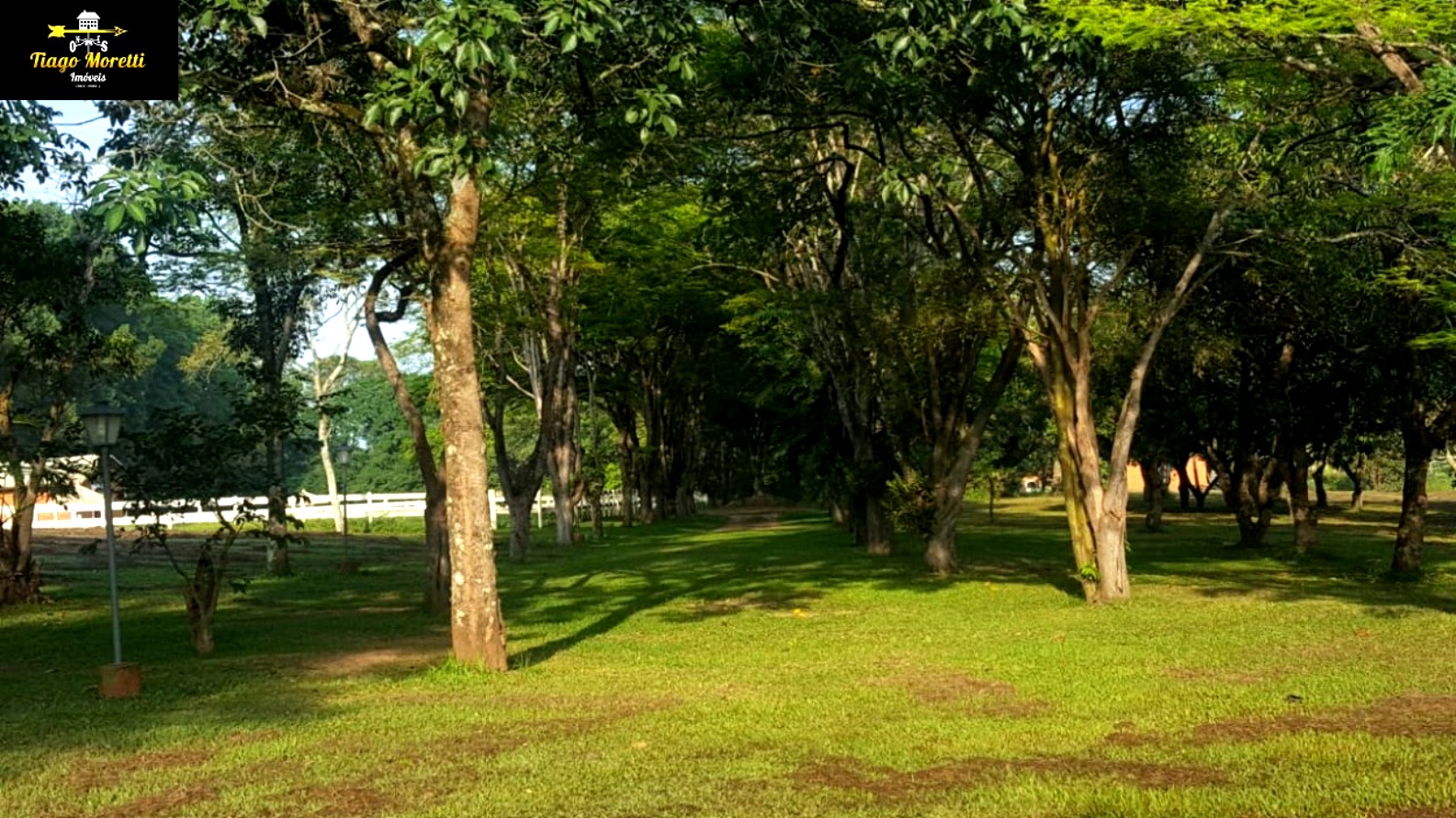 Sítio, 4 quartos, 48 hectares - Foto 24