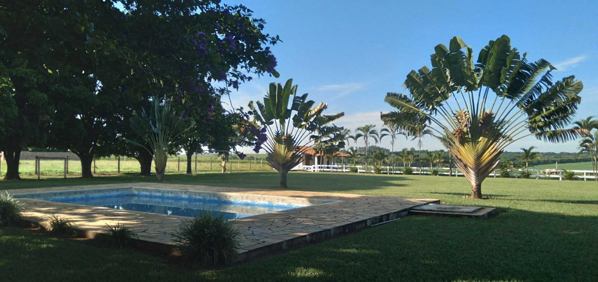 Chácara, 3 hectares - Foto 11
