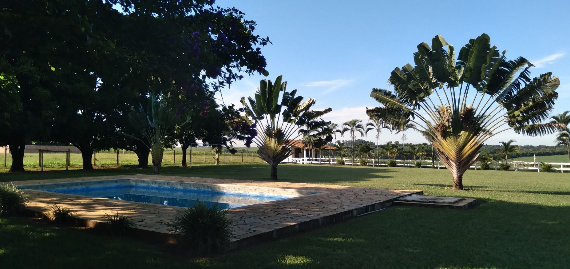 Chácara, 3 hectares - Foto 1