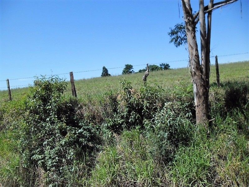 Fazenda, 121 hectares - Foto 12