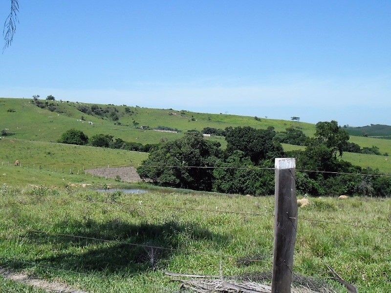 Fazenda, 121 hectares - Foto 19