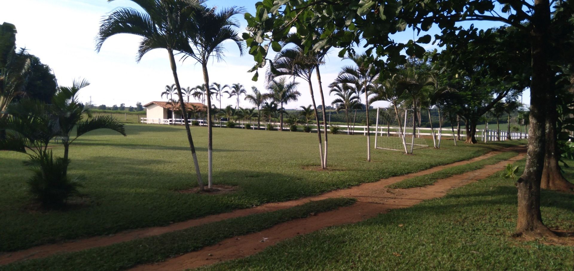 Chácara, 3 hectares - Foto 6