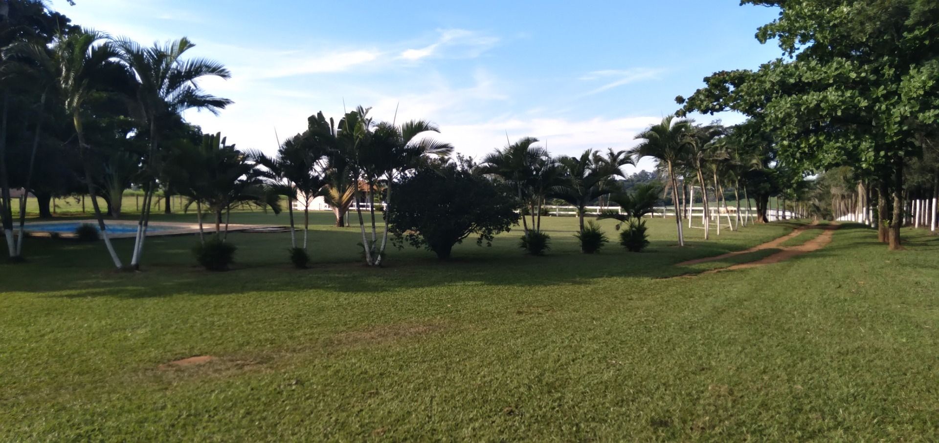 Chácara, 3 hectares - Foto 4