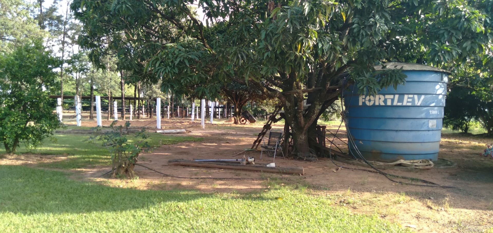 Chácara, 3 hectares - Foto 14