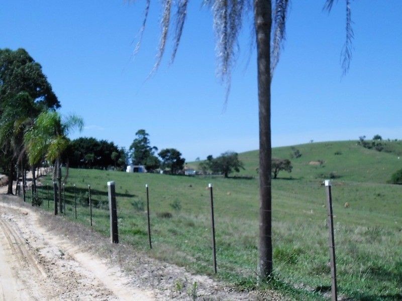 Fazenda, 121 hectares - Foto 16