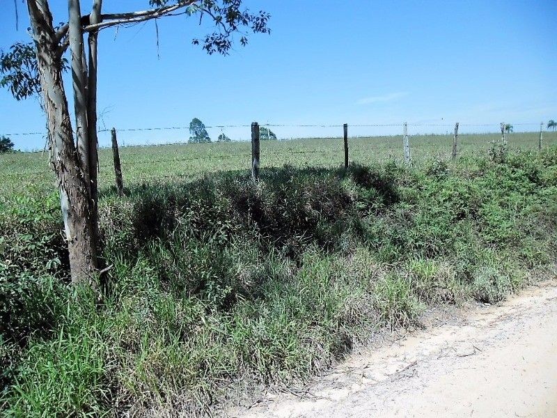 Fazenda, 121 hectares - Foto 17
