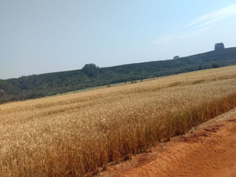 Fazenda, 125 m² - Foto 16