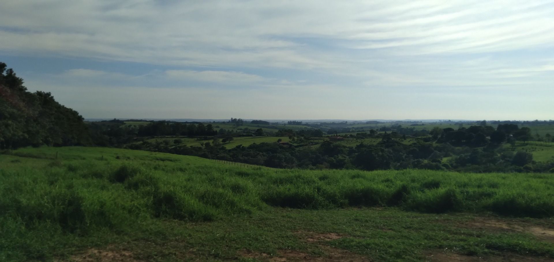 Chácara, 3 hectares - Foto 32