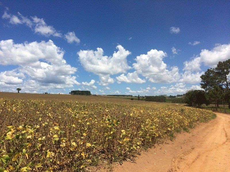 Fazenda, 125 m² - Foto 1