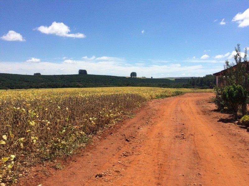 Fazenda, 125 m² - Foto 14