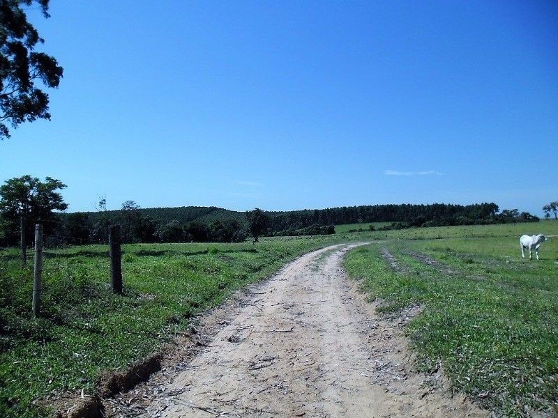 Fazenda, 121 hectares - Foto 15