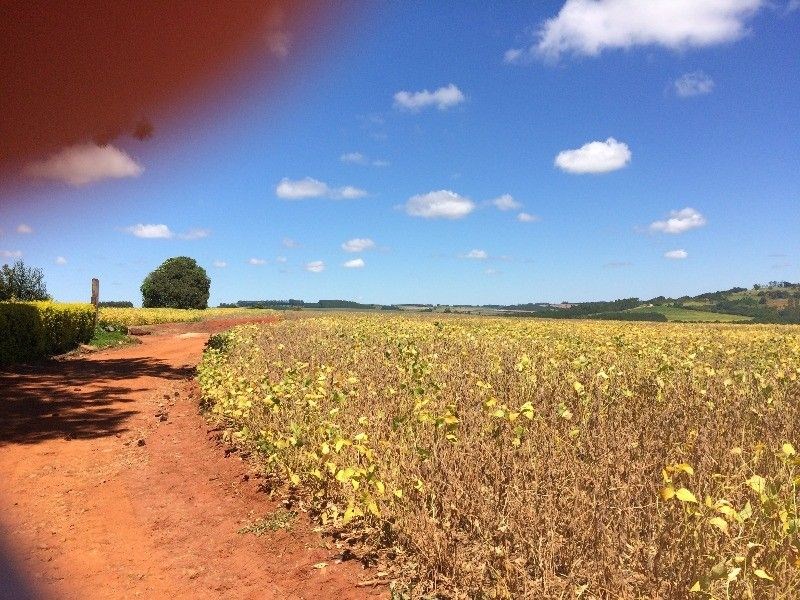 Fazenda, 125 m² - Foto 3