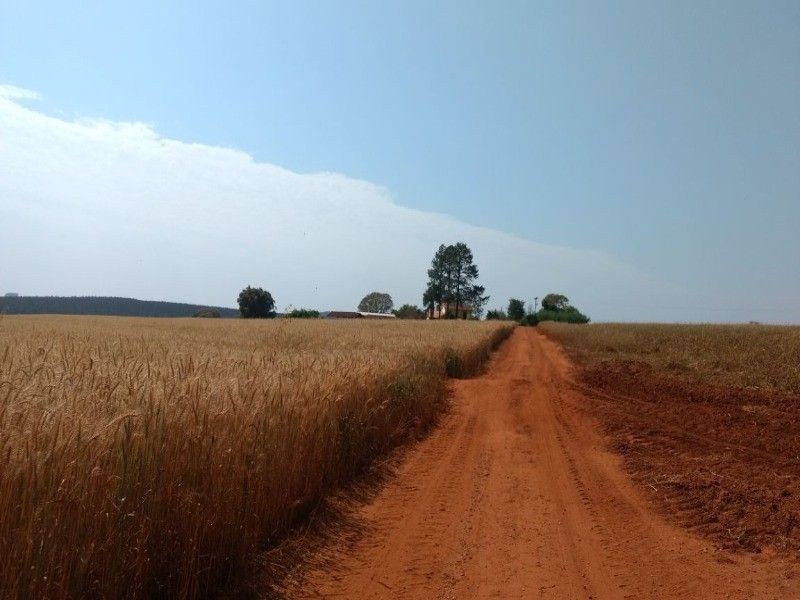 Fazenda, 125 m² - Foto 11