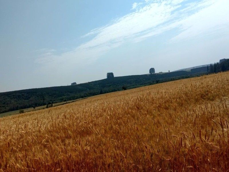 Fazenda, 125 m² - Foto 5