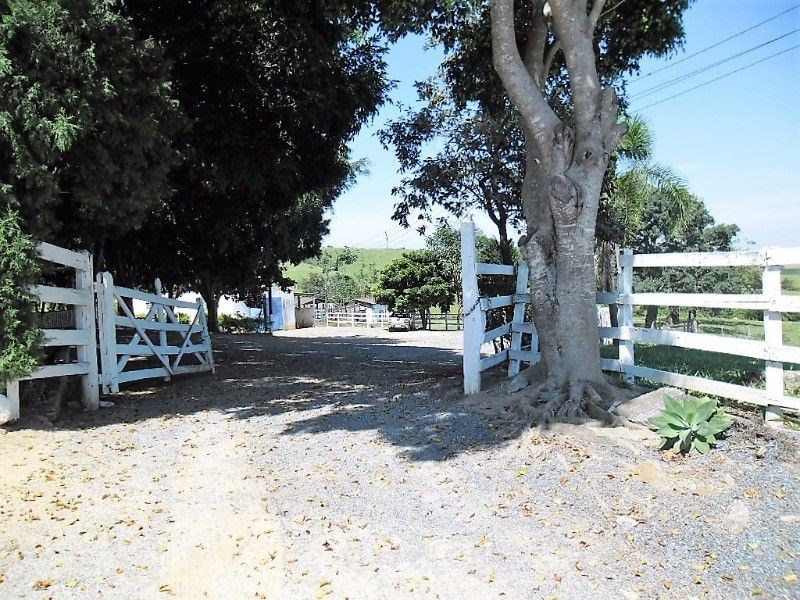 Fazenda, 121 hectares - Foto 7