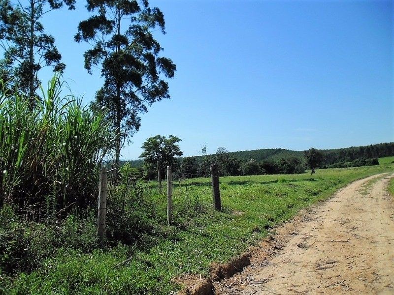 Fazenda, 121 hectares - Foto 14
