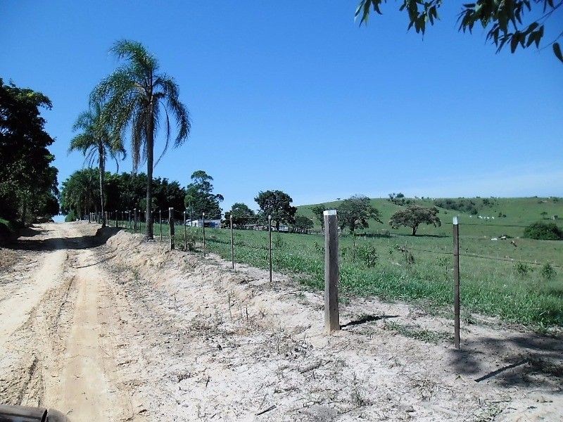 Fazenda, 121 hectares - Foto 1