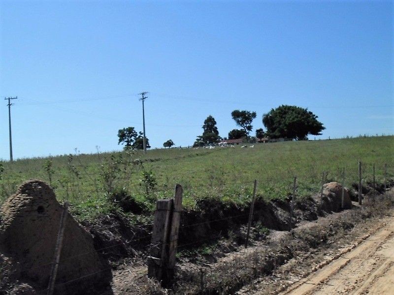Fazenda, 121 hectares - Foto 4