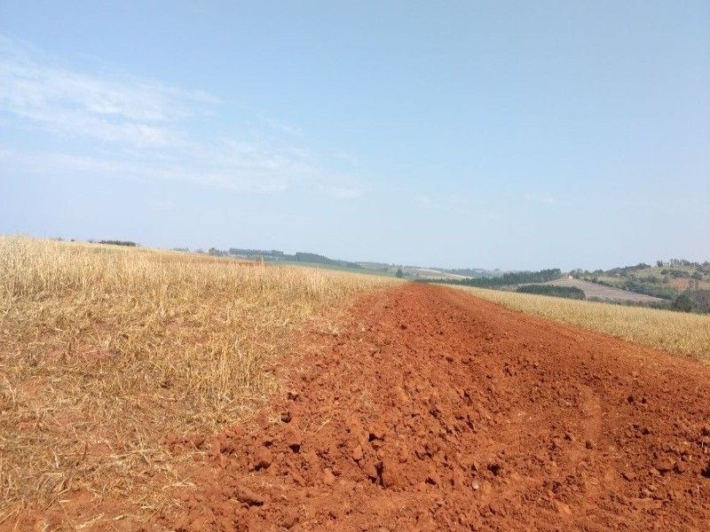 Fazenda, 125 m² - Foto 17