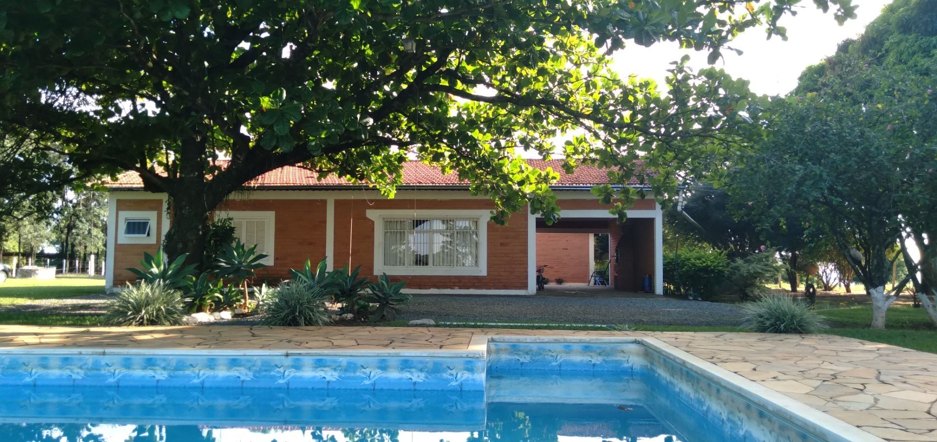 Chácara, 3 hectares - Foto 2