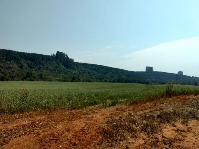 Fazenda, 125 m² - Foto 18