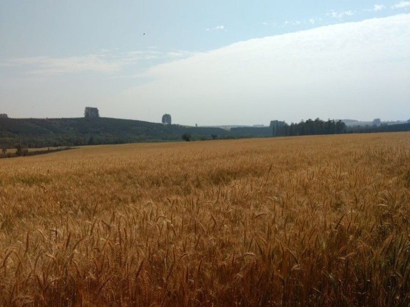 Fazenda, 125 m² - Foto 2