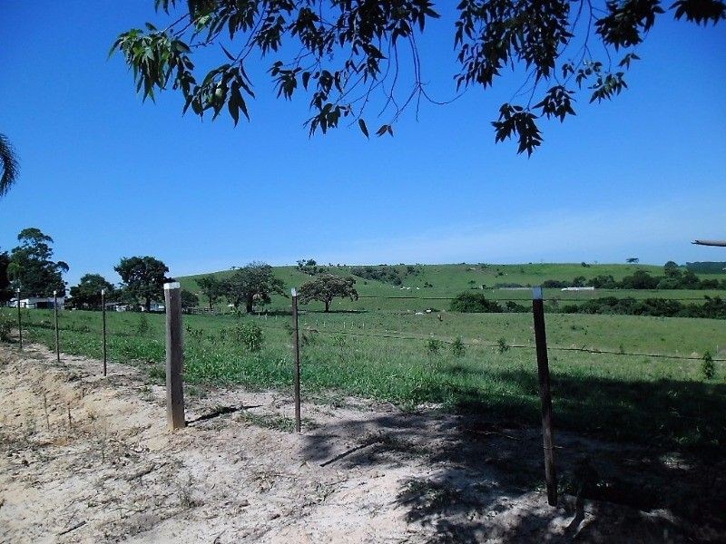 Fazenda, 121 hectares - Foto 5