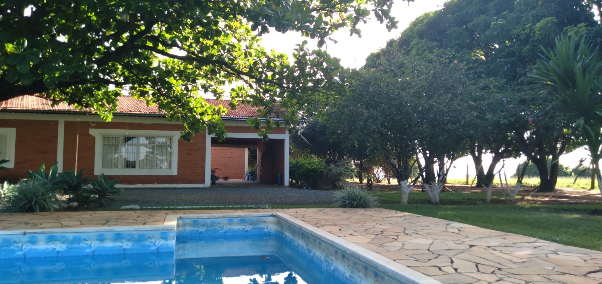 Chácara, 3 hectares - Foto 10