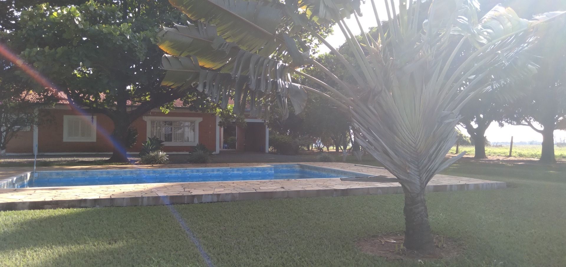 Chácara, 3 hectares - Foto 8