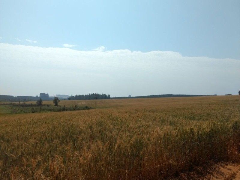 Fazenda, 125 m² - Foto 9