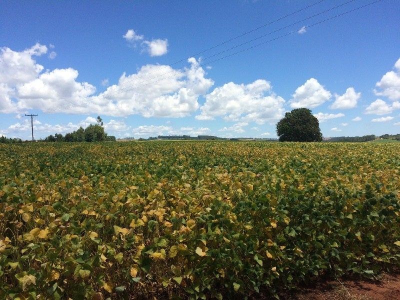 Fazenda, 125 m² - Foto 13