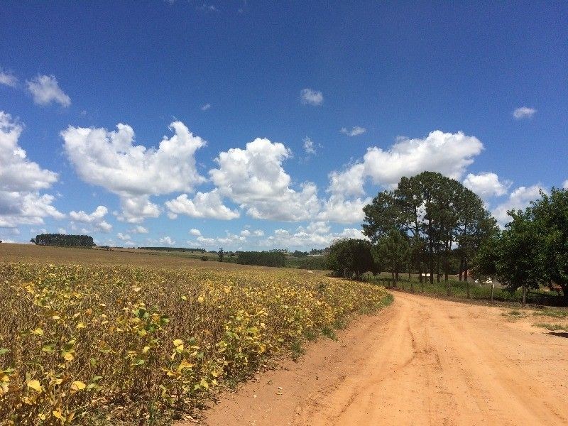 Fazenda, 125 m² - Foto 8