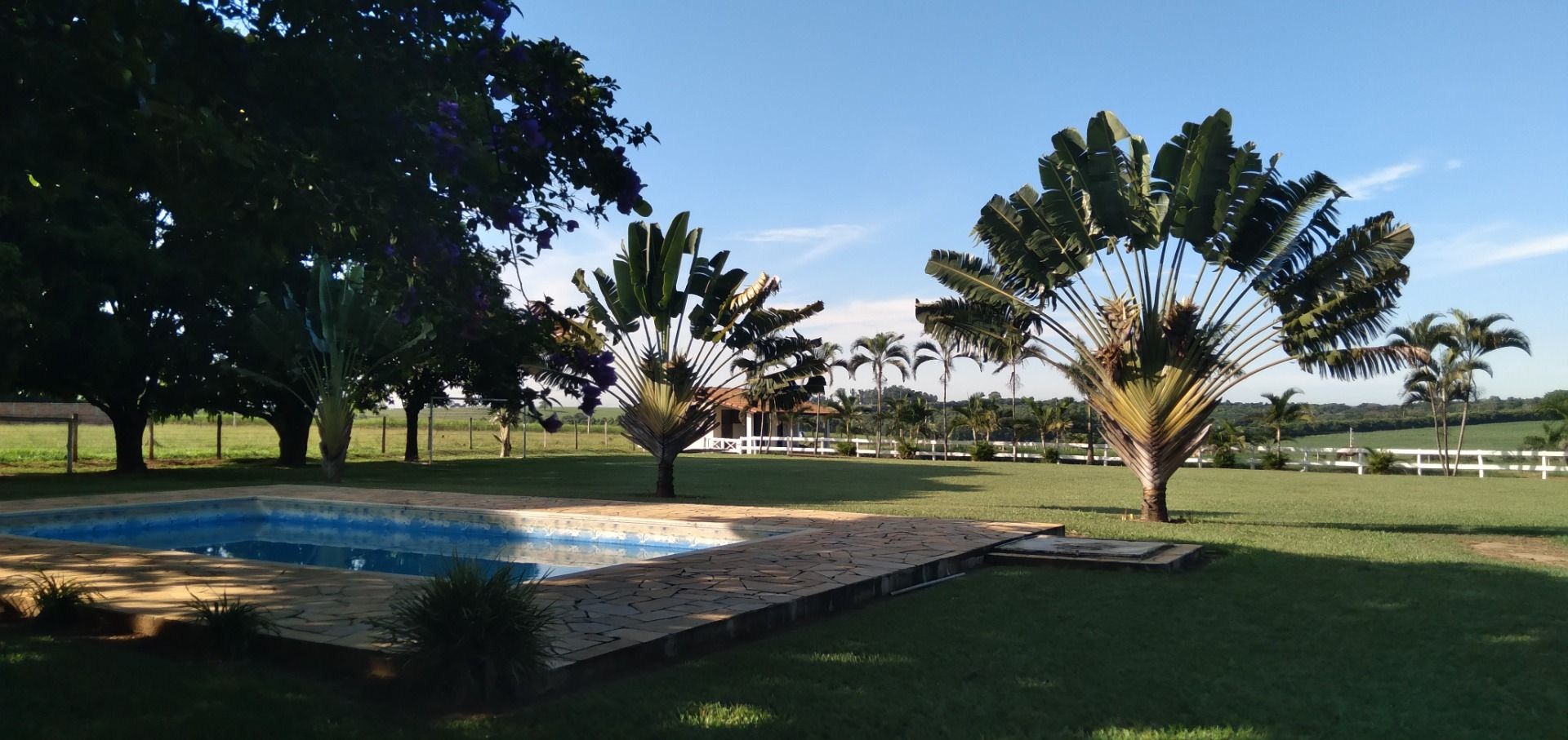 Chácara, 3 hectares - Foto 12