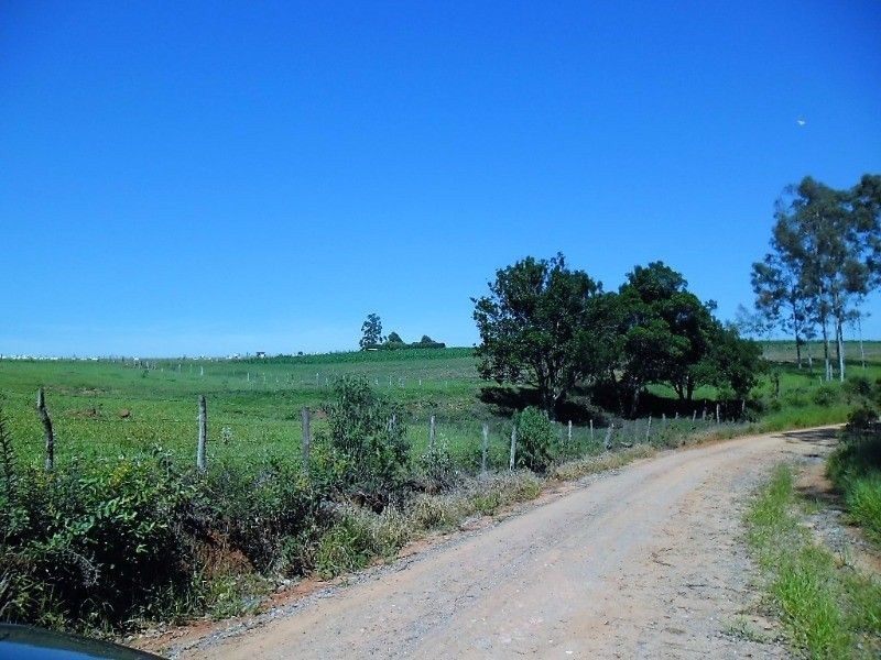 Fazenda, 121 hectares - Foto 3