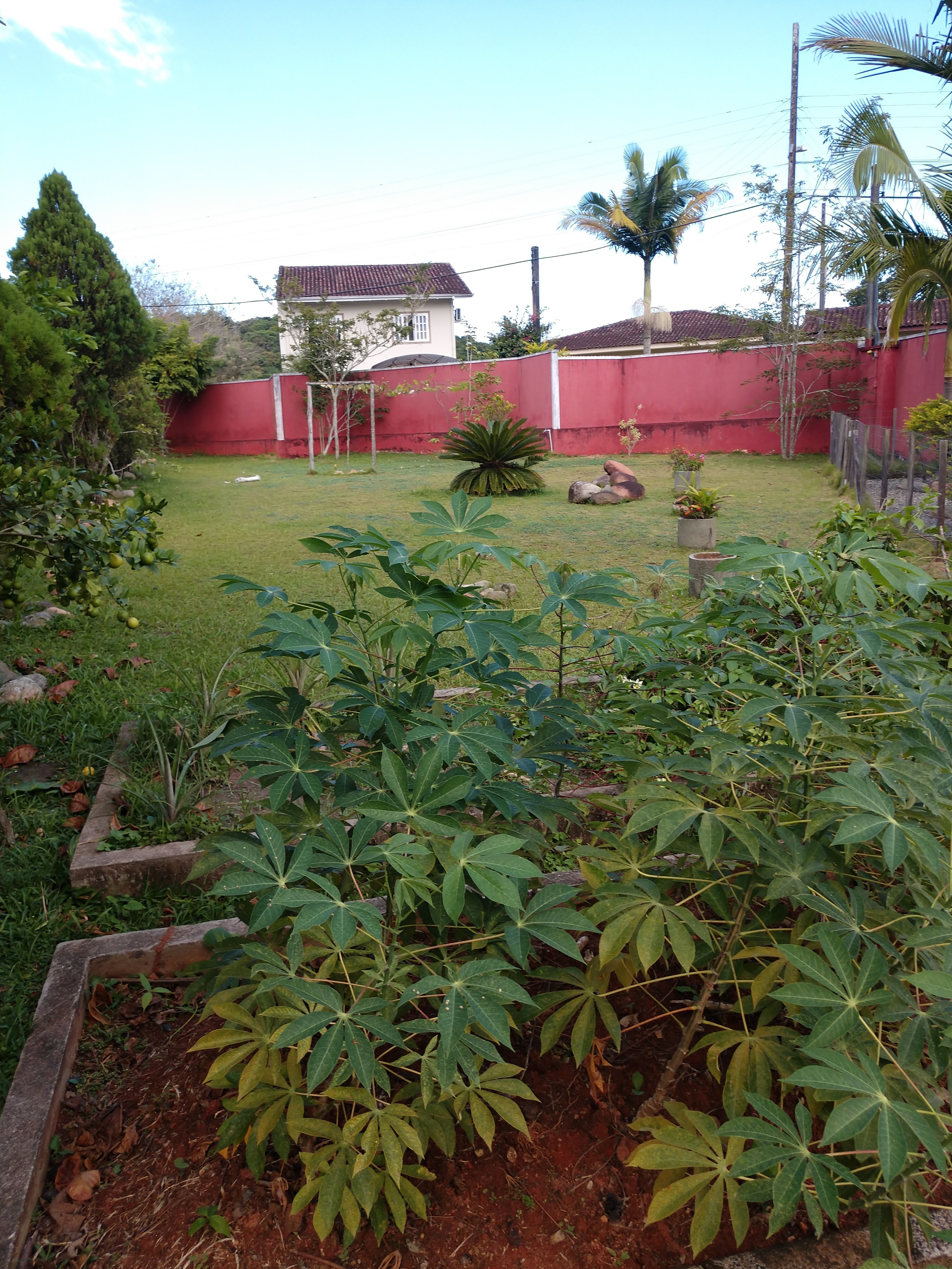 Casa, 3 quartos - Foto 16